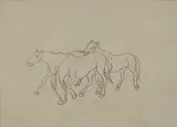 Dante Vincelles, Cavalli, Sul verso appunto manoscritto: "Disegni di Dante Vincelles/Umberto Marianelli".