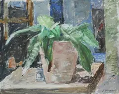 Enzo Faraoni, Pianta