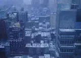 Bernardo Siciliano, New York