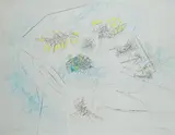 Sebastian Matta, Disegno
