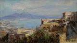Edoardo Monteforte, Veduta di Napoli da San Martino