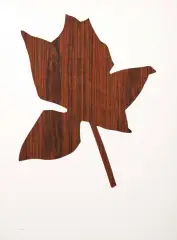 Yannis Kounellis, Untitled, rosa plastica ritagliata on paper cm