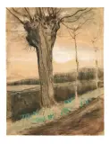 Vincent van Gogh, Pollard Willow