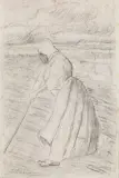 Ulvi Liegi, Contadina Nei Campi, pencil on paper