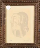 Giuseppe Viviani, I Canini, lithograph