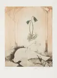 Ota Janeček, A Dead Bird, 1956, drypoint, paper