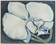Jitka Válová, Orchid, 1978, oil on canvas