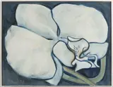 Jitka Válová, Orchid, 1978, oil on canvas