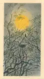 Ota Janeček, Night Song