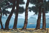 Katsuyuki Nishijima, Pines on Shore of Lake Biwa, color woodblock, 12.5 x 18.25 inches, pencil