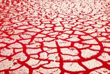 Menashe Kadishman, Red Cracked Earth, c. 1979, etching with aquatint on Guarro paper