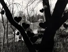 Tree & Hearts II by Martin Prekop, 2000, gelatin silver print, offered Mar 2023