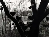 Martin Prekop, Tree & Hearts II