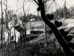 Tree & Hearts by Martin Prekop, 2000, gelatin silver print, offered Mar 2023