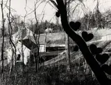 Martin Prekop, Tree & Hearts