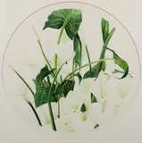 Michael Strueber, Memorial Lilies, 1993, watercolor, 16 inches in diameter, rondo