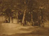 Edward Timothy Hurley, Trees in Eden Park, etching, 1914