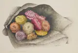 Luigi Rist, Straw Flowers (Williams 34), woodcut in colors, 1955