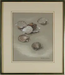 Scallop Shells by Ruth Sumner, Pastel on Paper, offered Dec 2020