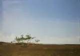 Kenneth Layman, Lone Tree