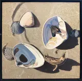 Carol Sims, Clam & Scallop Shells, Acrylic on Canvas