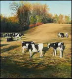 Scott Prior, Cows at Sunset, 1983, oil on panel