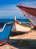 Tom Swimm, COLOR & LIGHT, oil on canvas