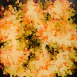 Marilyn Farinacci, - ''One''-, acrylic on canvas, 204, very good condition