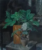 Enzo Faraoni, Sassifraga