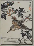 Kōno Bairei, Uccello, 1881, Pagina tratta dal primo volume del "Bairei Hyakucho Gafu" (L'Album di cento uccelli di Bairei). Editore: