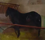 Oscar Ghiglia, Cavallo
