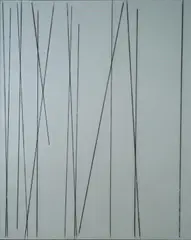 Paolo Cotani, Tracce, 2009