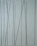 Paolo Cotani, Tracce, 2009