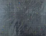 Shusaku Arakawa, Mistake
