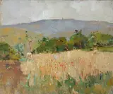 Guido Casciaro, Campo di papaveri