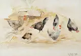 Vittorio Corona, Polli nell'aia, 1937