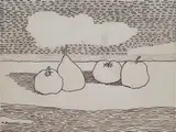 Marcello Boccacci, Frutta