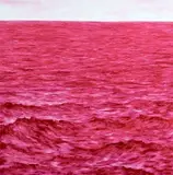 Abel Herrero, Paesaggio n. 17 (Magenta con moto), 2015, oil on canvas