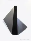 Teodosio Magnoni, Senza titolo, 2014, Acciaio inox e vernice