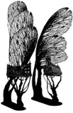 Bernahard Rüdiger, L'angelo della storia, 2008, inchiostro on paper
