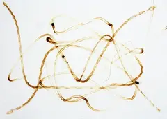 Arcangelo Sassolino, Senza titolo, 2014, acciaio fuso on paper
