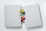 Renato Ranaldi, Fuoriquadro (Contenzioso)
