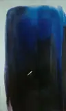 Paul Jenkins, Phenomena of resusitation