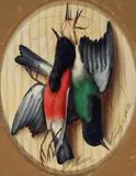 Michelangelo Meucci, Uccelli