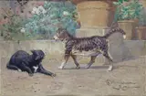 Francesco Coleman, L'idillio fra due gatti, 1900