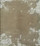 Hermann Nitsch, Relitto d'azione