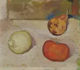 Rodolfo Marma, Natura ferma