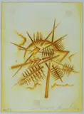Arnaldo Pomodoro, Senza titolo