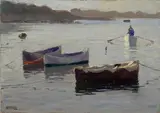 Alberto Zardo, Barche