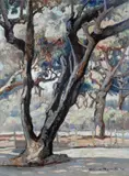 Gino Romiti, Giardini